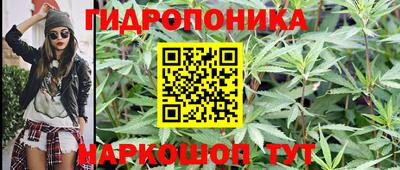 mdpv Усть-Джегута