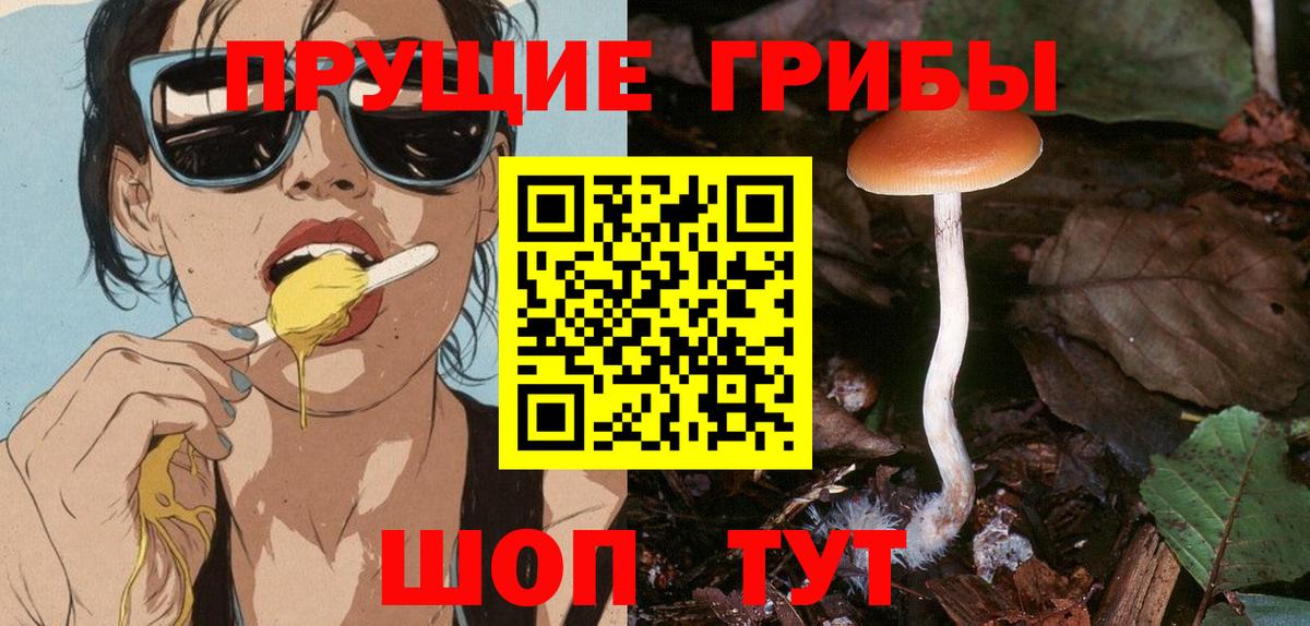 Псилоцибиновые грибы прущие грибы  Псилоцибиновые грибы MAGIC MUSHROOMS  Бахчисарай  Вход с VPN 